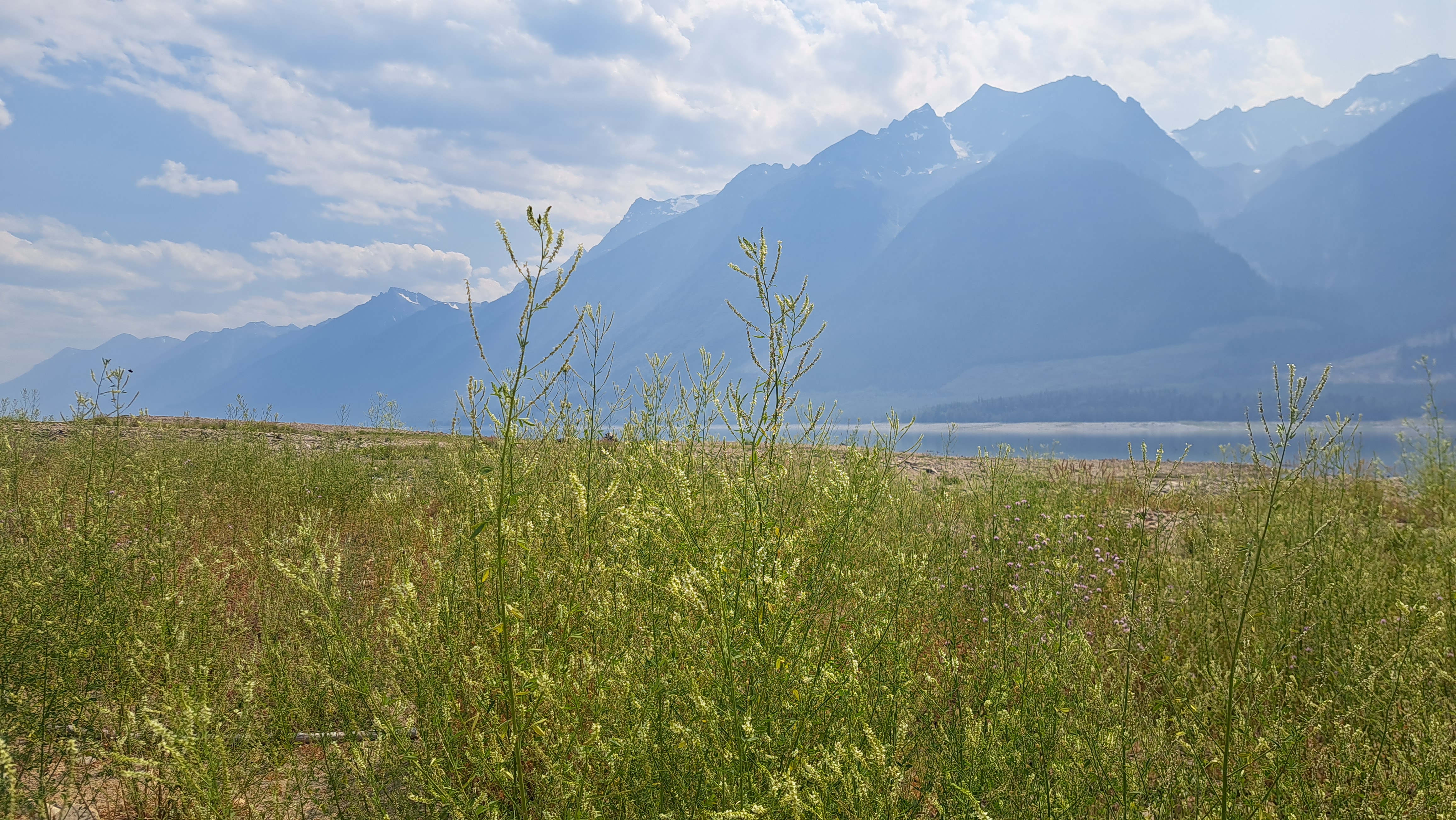 Rocky Mountains in Canada